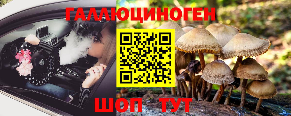 Новошахтинск  Псилоцибиновые грибы мицелий  Вход с VPN 